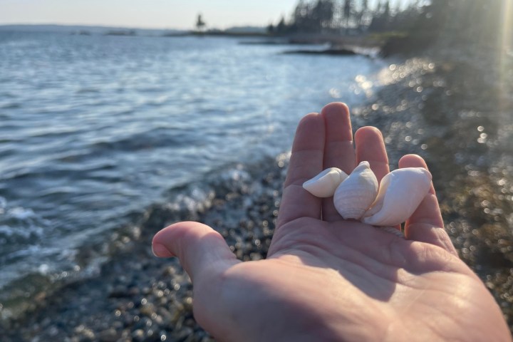 a close up of a hand with a body of water