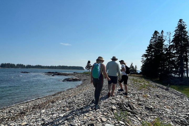 a group of people standing on a beach