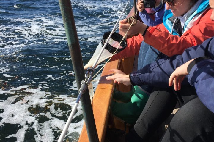 a person sitting on a dock next to a body of water