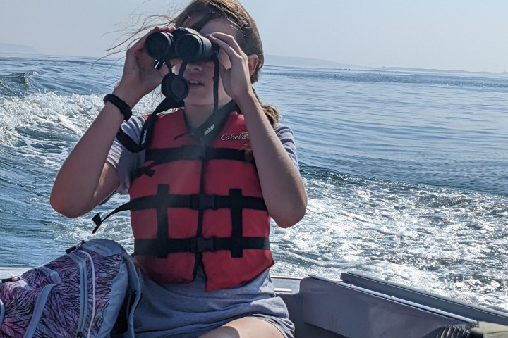 a woman sitting on a bench talking on a cell phone in the water