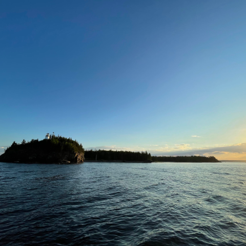 a large body of water