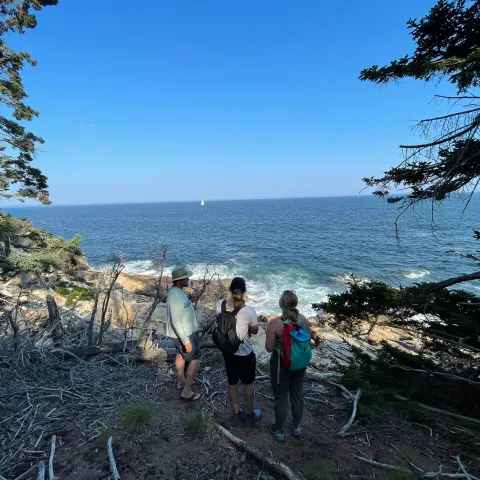 a group of people standing next to a tree
