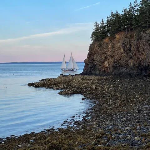 a large body of water