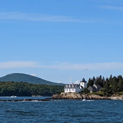 a large body of water with a mountain in the background