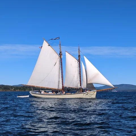 a boat in a large body of water