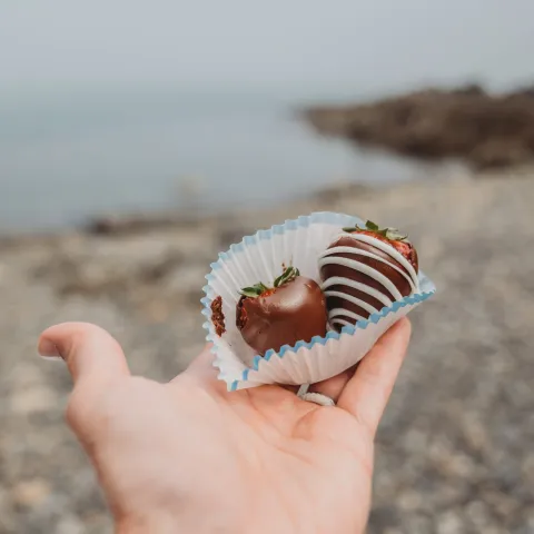 a hand holding a small animal on a beach