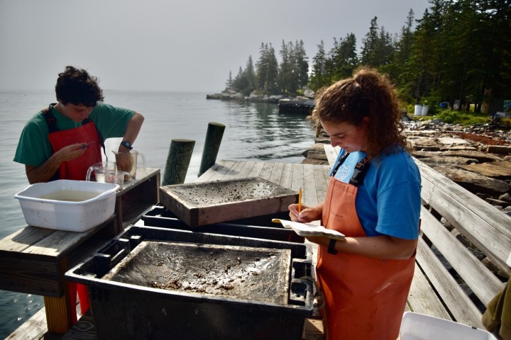 a man and a woman sitting on a grill